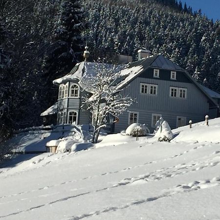 Penzion Modry Pavilon Dolní Malá Úpa Dış mekan fotoğraf